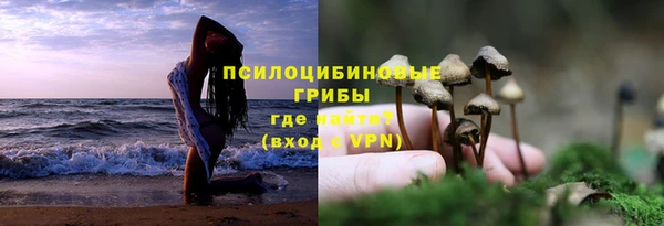 гидропоника Няндома